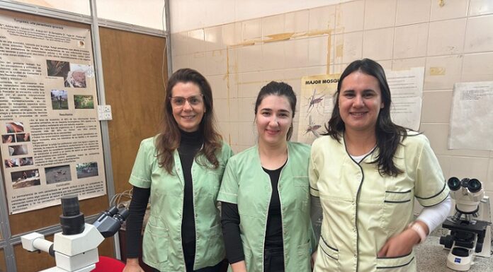 Investigación Nuevos hallazgos sobre la transmisión de parásitos en el hogar