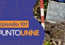 Punto UNNE – Episodio 101