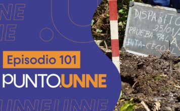 Punto UNNE – Episodio 101
