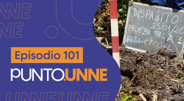 Punto UNNE – Episodio 101