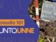 Punto UNNE – Episodio 101
