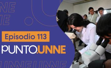 Punto UNNE – Episodio 113