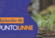 Punto UNNE – Episodio 45