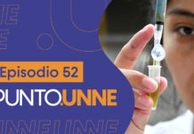 Punto UNNE – Episodio 52