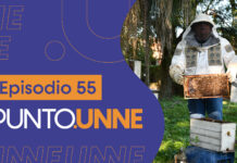 Punto UNNE – Episodio 55