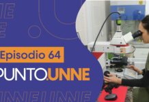 Punto UNNE – Episodio 64