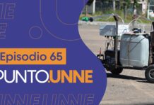 Punto UNNE – Episodio 65