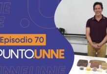 Punto UNNE – Episodio 70