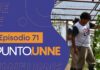 Punto UNNE – Episodio 71