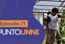 Punto UNNE – Episodio 71