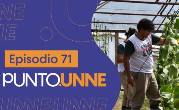 Punto UNNE – Episodio 71