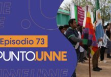 Punto UNNE – Episodio 73