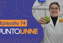 Punto UNNE – Episodio 74