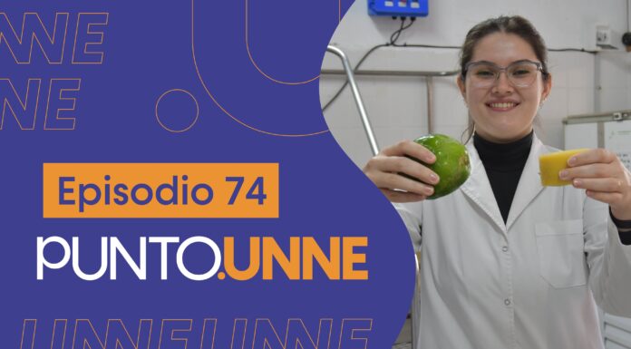 Punto UNNE – Episodio 74