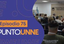 Punto UNNE – Episodio 75