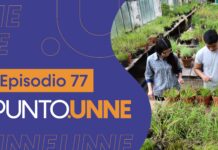 Punto UNNE – Episodio 77