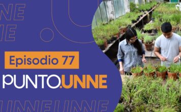 Punto UNNE – Episodio 77