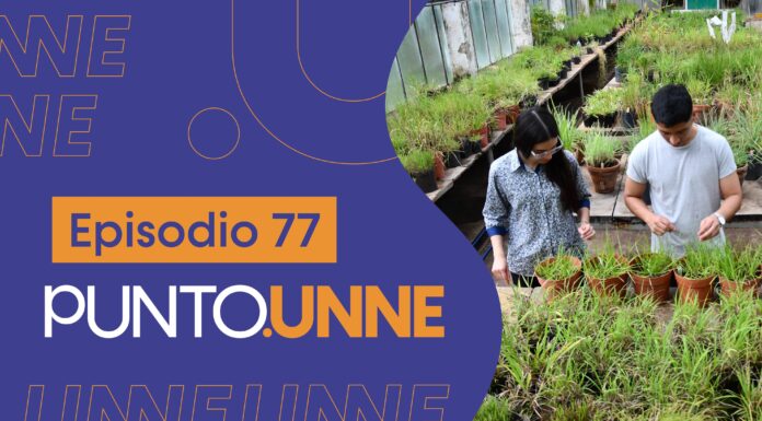 Punto UNNE – Episodio 77