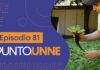 Punto UNNE – Episodio 81