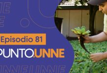 Punto UNNE – Episodio 81