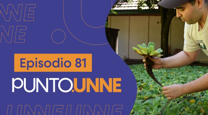 Punto UNNE – Episodio 81