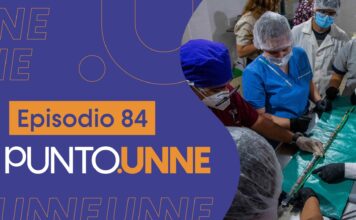 Punto UNNE – Episodio 84