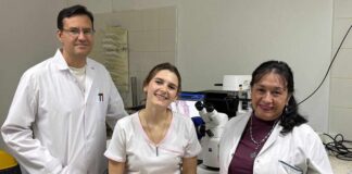 Nuevos Conocimientos Becaria de la UNNE investigará el cáncer de colon con enfoque en genes inflamatorios