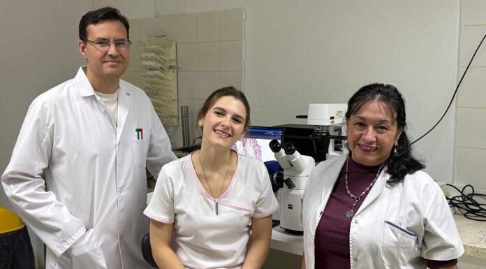 Nuevos Conocimientos Becaria de la UNNE investigará el cáncer de colon con enfoque en genes inflamatorios