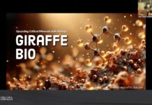 La UNNE reedita el Simposio Virtual “NEO/NEA Ciencia” para conocer avances científicos y tecnológicos