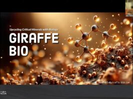 La UNNE reedita el Simposio Virtual “NEO/NEA Ciencia” para conocer avances científicos y tecnológicos