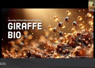 CIENCIA Y COMUNIDAD La UNNE reedita el Simposio Virtual “NEO/NEA Ciencia” para conocer avances científicos y tecnológicos