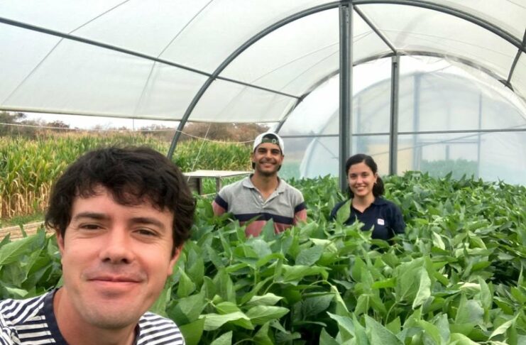 Miden el efecto de noches cálidas en el rendimiento de la soja