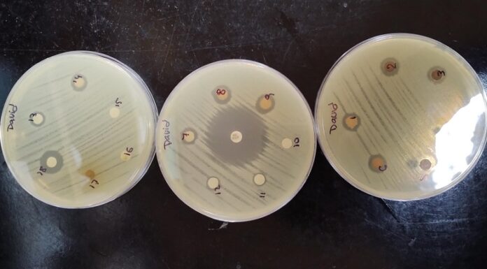 NUEVOS CONOCIMIENTOS Nanopartículas de plata: una solución innovadora contra las infecciones