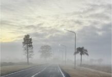 NUEVOS CONOCIMIENTOS Becaria de Geografía mapeará la niebla y analizará siete décadas de datos meteorológicos