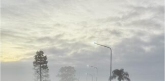 NUEVOS CONOCIMIENTOS Becaria de Geografía mapeará la niebla y analizará siete décadas de datos meteorológicos