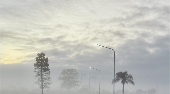 NUEVOS CONOCIMIENTOS Becaria de Geografía mapeará la niebla y analizará siete décadas de datos meteorológicos