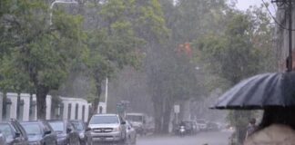NOTA TÉCNICA Actualizan el escenario de El Niño y advierten sobre la necesidad de preparar a los municipios