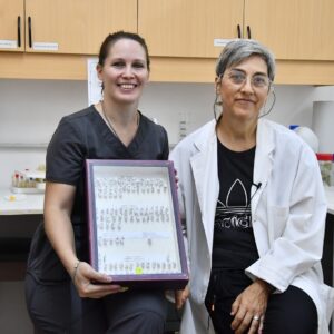 Nuevo mosquito 03.png