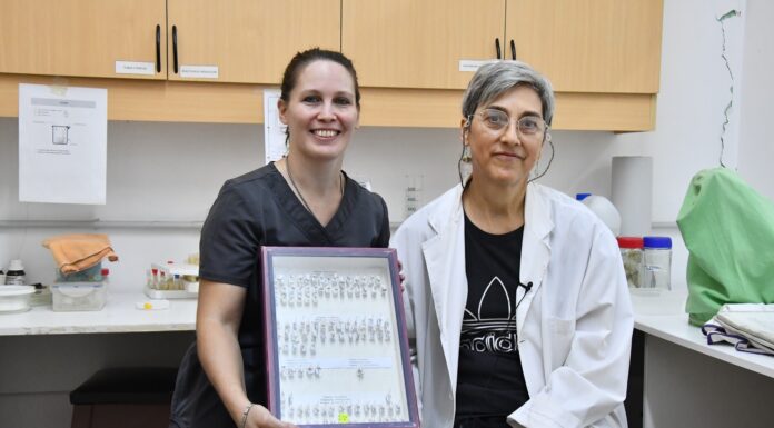 INSTITUTO DE MEDICINA REGIONAL Investigación de la UNNE descubre una nueva especie de mosquito para la ciencia