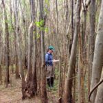 ODS desarrollo sostenible