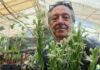 Registraron el híbrido N° 100 de orquídeas de la Facultad de Ciencias Agrarias de la UNNE