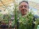 Registraron el híbrido N° 100 de orquídeas de la Facultad de Ciencias Agrarias de la UNNE
