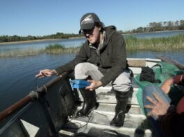 Estudian invertebrados acuáticos como indicadores de la calidad del agua de las lagunas de Corrientes