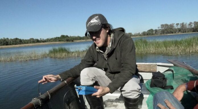 Estudian invertebrados acuáticos como indicadores de la calidad del agua de las lagunas de Corrientes