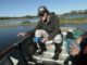 Estudian invertebrados acuáticos como indicadores de la calidad del agua de las lagunas de Corrientes