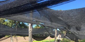 Con un observatorio, buscan profundizar el conocimiento sobre el trabajo rural en el NEA