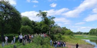 EDUCACION AMBIENTAL Docentes e investigadores realizaron jornada sobre sostenibilidad urbana en el Parque Ávalos