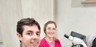 NUEVOS CONOCIMIENTOS Con biotecnología se busca potenciar la legumbre que puede cambiar la agricultura familiar del NEA