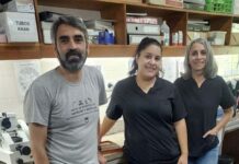Una tesis aportó datos sobre el ciclo reproductivo de una serpiente del NEA