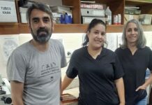 CIENCIAS BIOLÓGICAS Una tesis aportó datos sobre el ciclo reproductivo de una serpiente del NEA